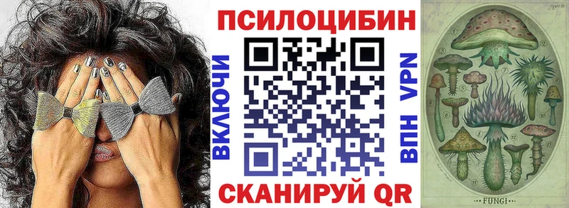 где можно купить   Далматово  Псилоцибиновые грибы мухоморы 
